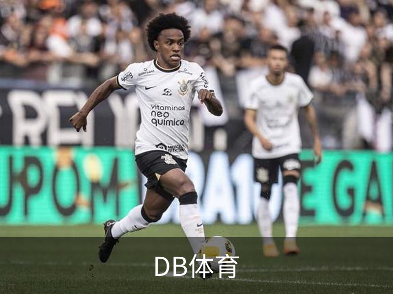 DB体育简介